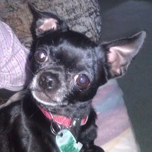 Meet your Posher, Esther